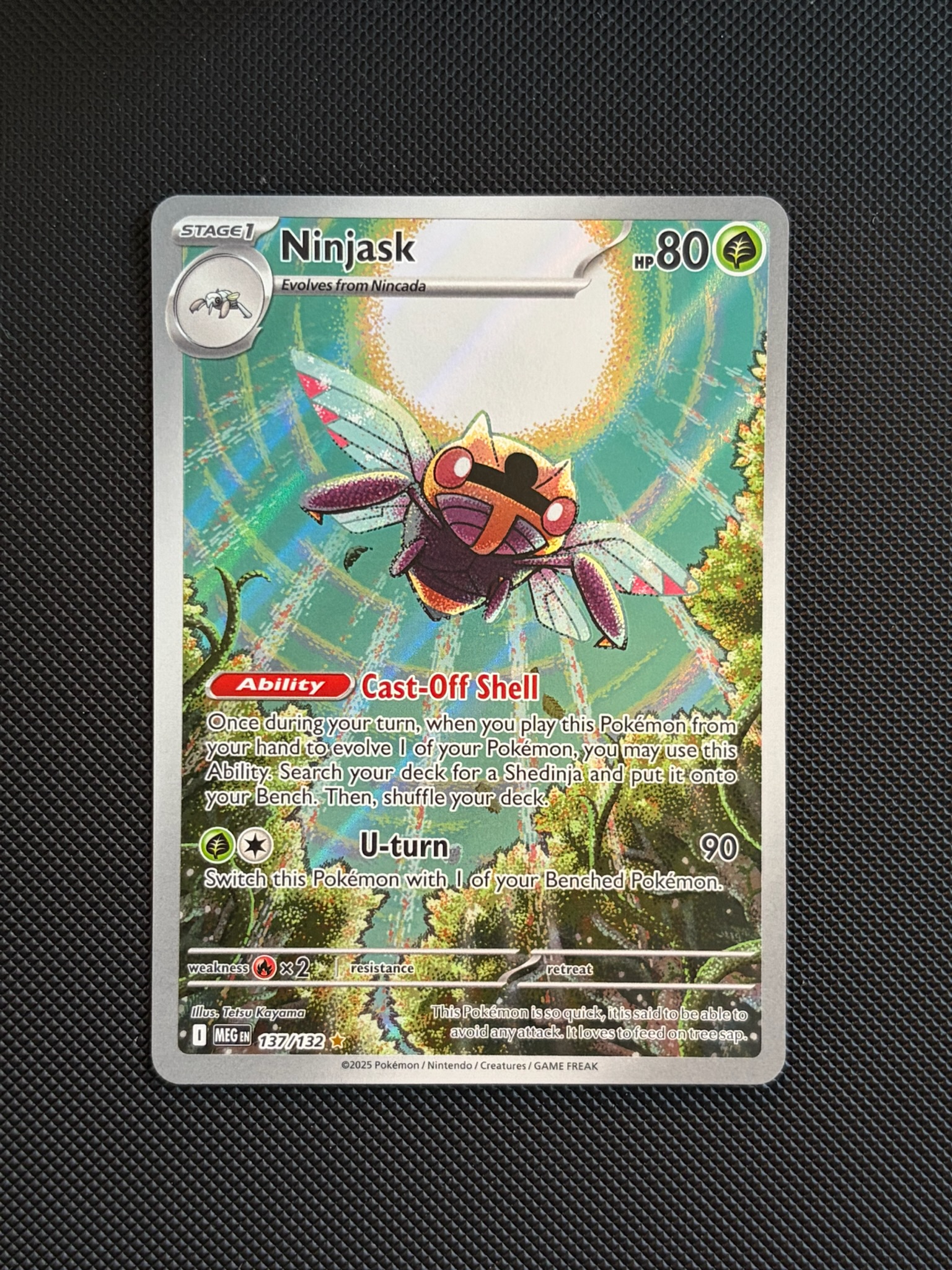 Ninjask